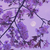 えるろうらいと